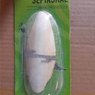 Sepiaskal  ca 12cm